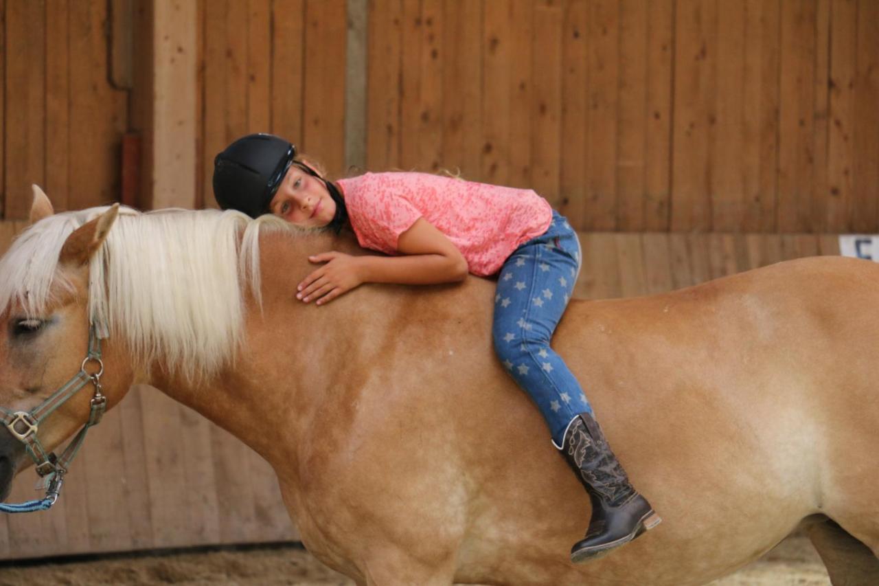 דירות וואלכסי Reitanlage Dagnhof מראה חיצוני תמונה