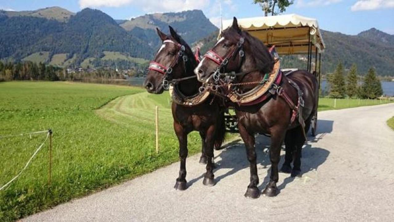 דירות וואלכסי Reitanlage Dagnhof מראה חיצוני תמונה